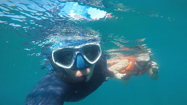 Fix a Trip Snorkel Cabo With Baja Snorkel