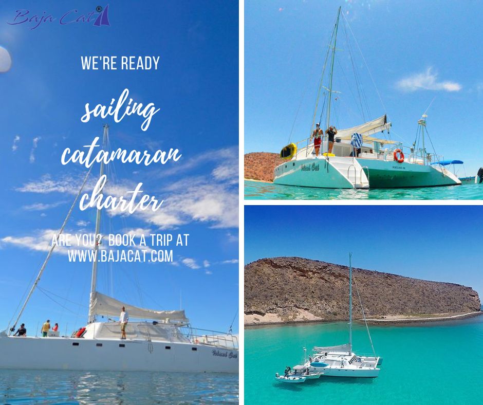 Need Sailing Catamaran la Paz? Contact Us at Baja Cat